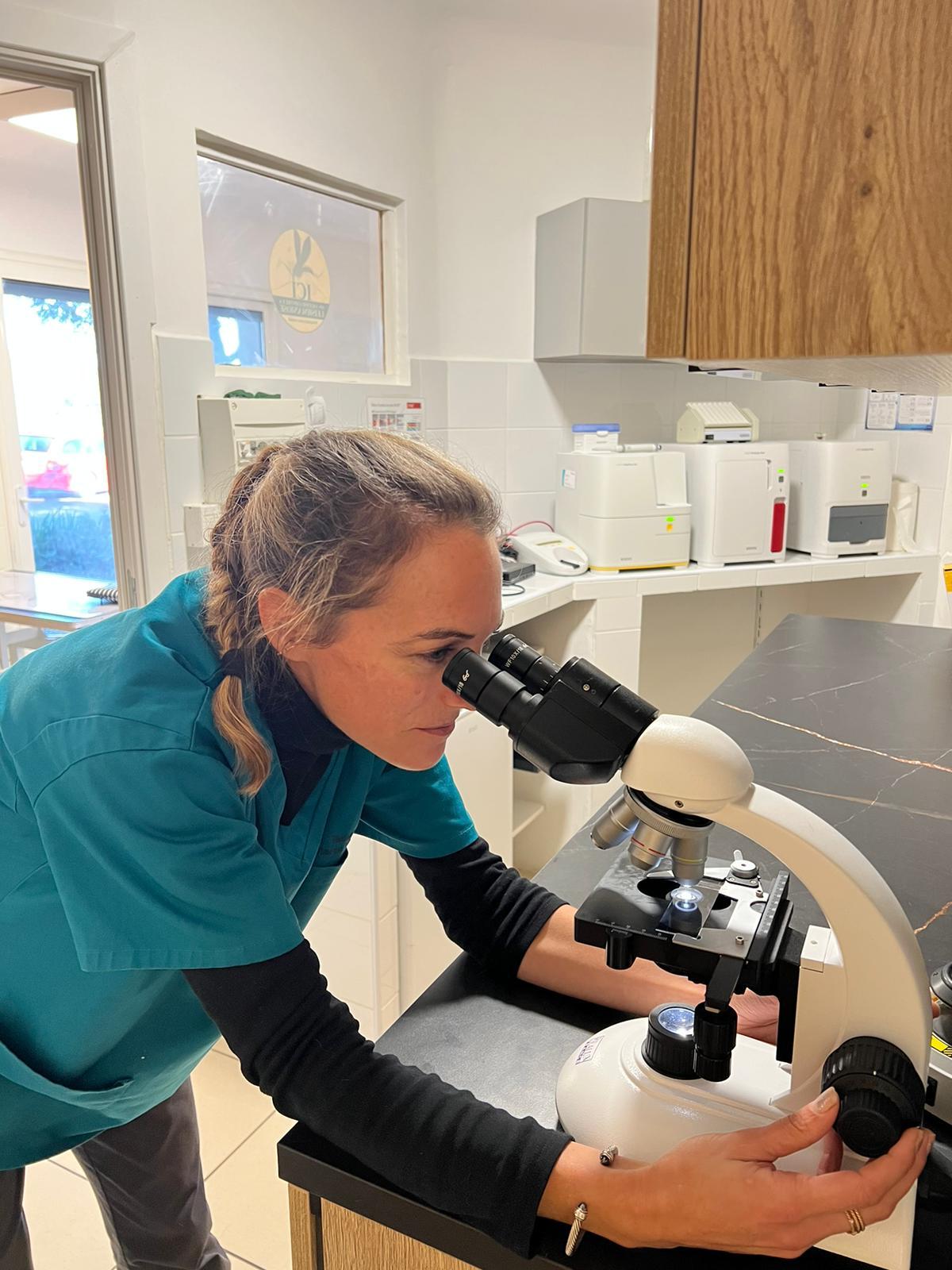 Microscope